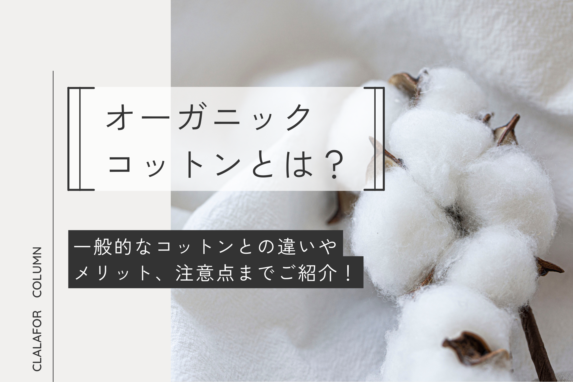 オーガニックコットンとは？一般的なコットンとの違いやメリット、注意点までご紹介！